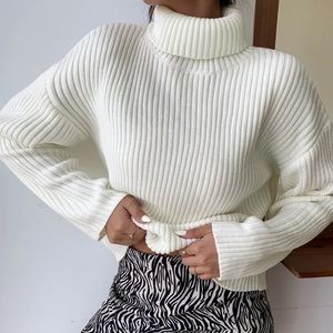 SHEIN Turtleneck Sweater